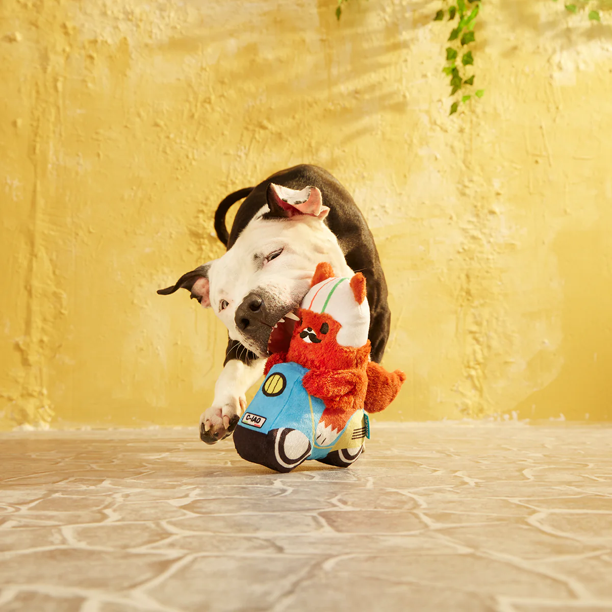 Thumbnail 3
